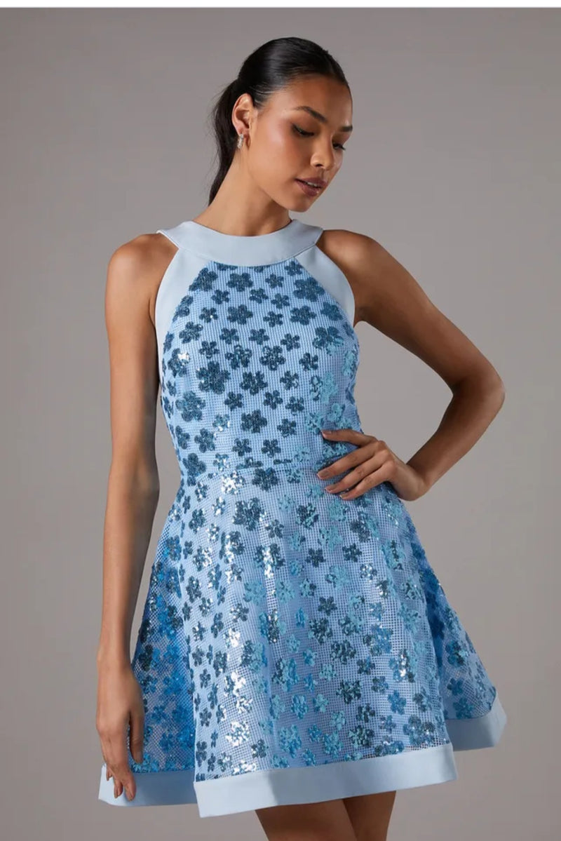 Coast
Sequin Mesh Skater Mini
Dress | Size 12