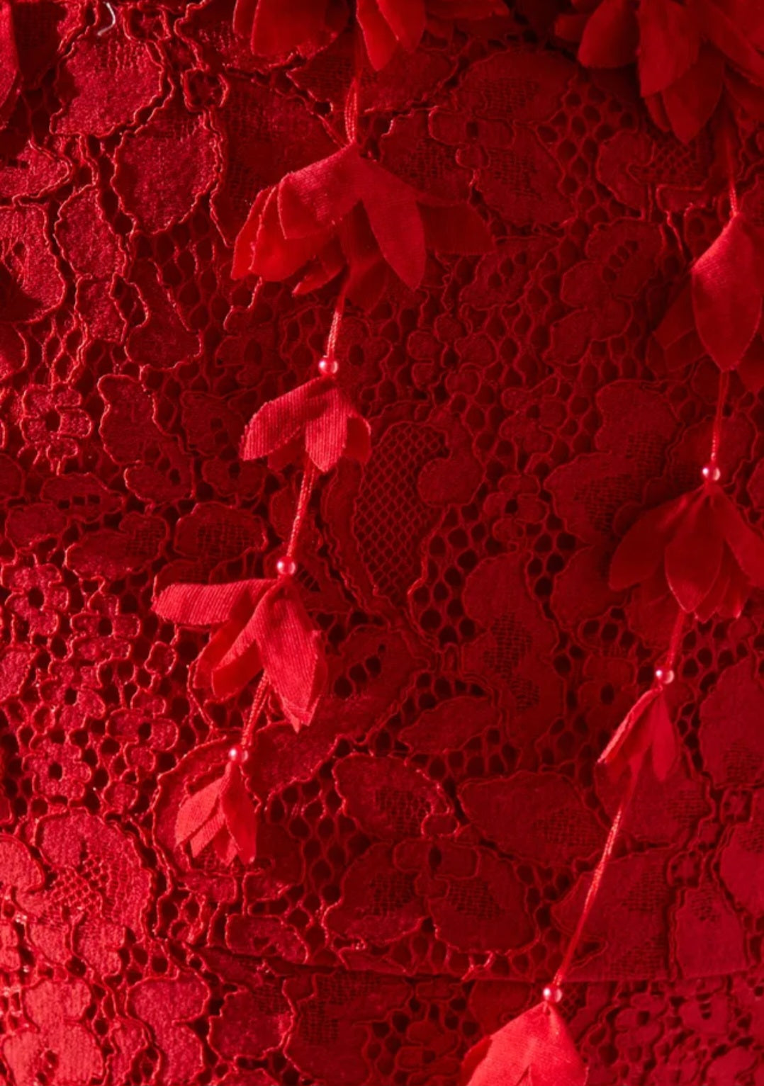 Coast Floral Shoulder Detail Lace Midi Dress | Size 12