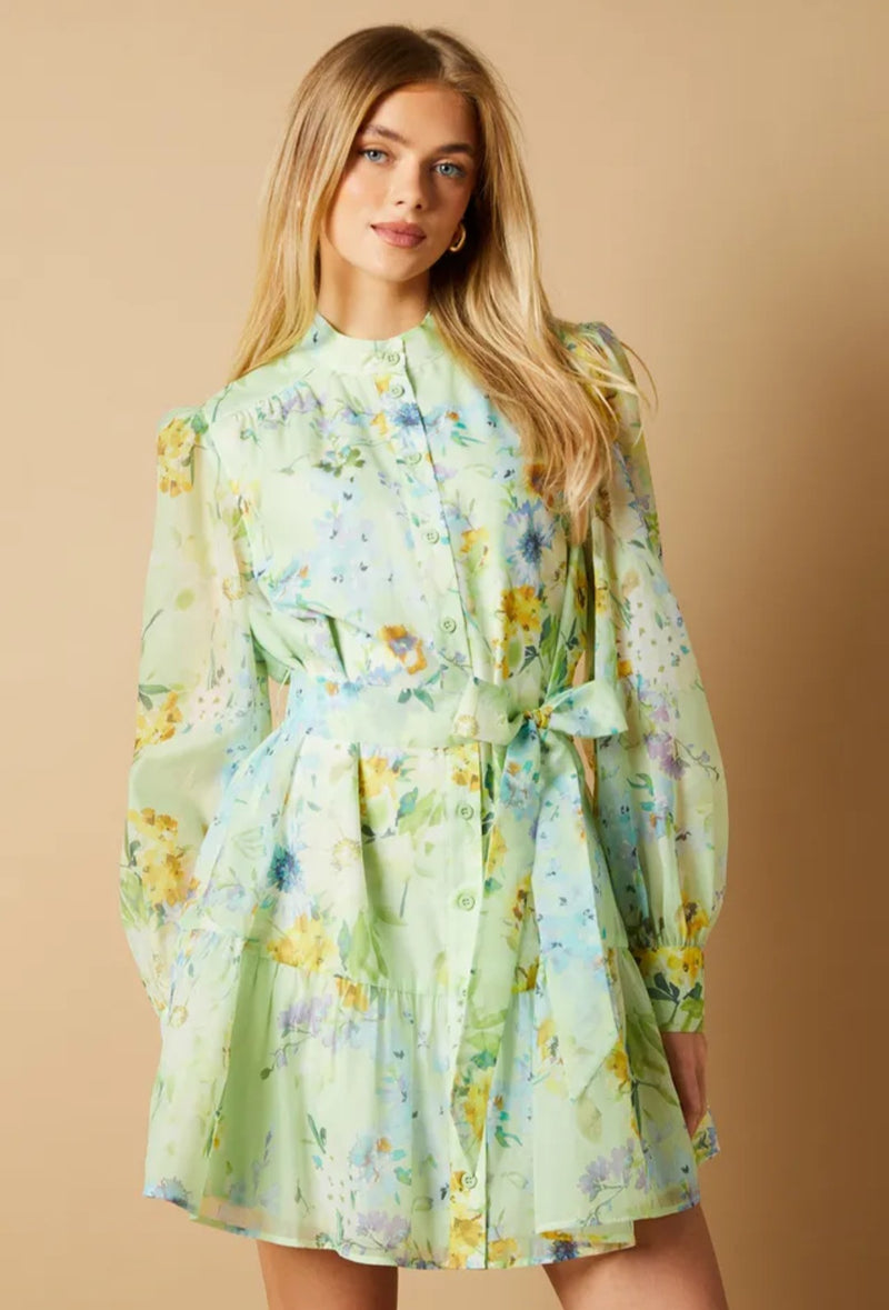 Oasis Sage Floral Organza Mini Shirt Dress
