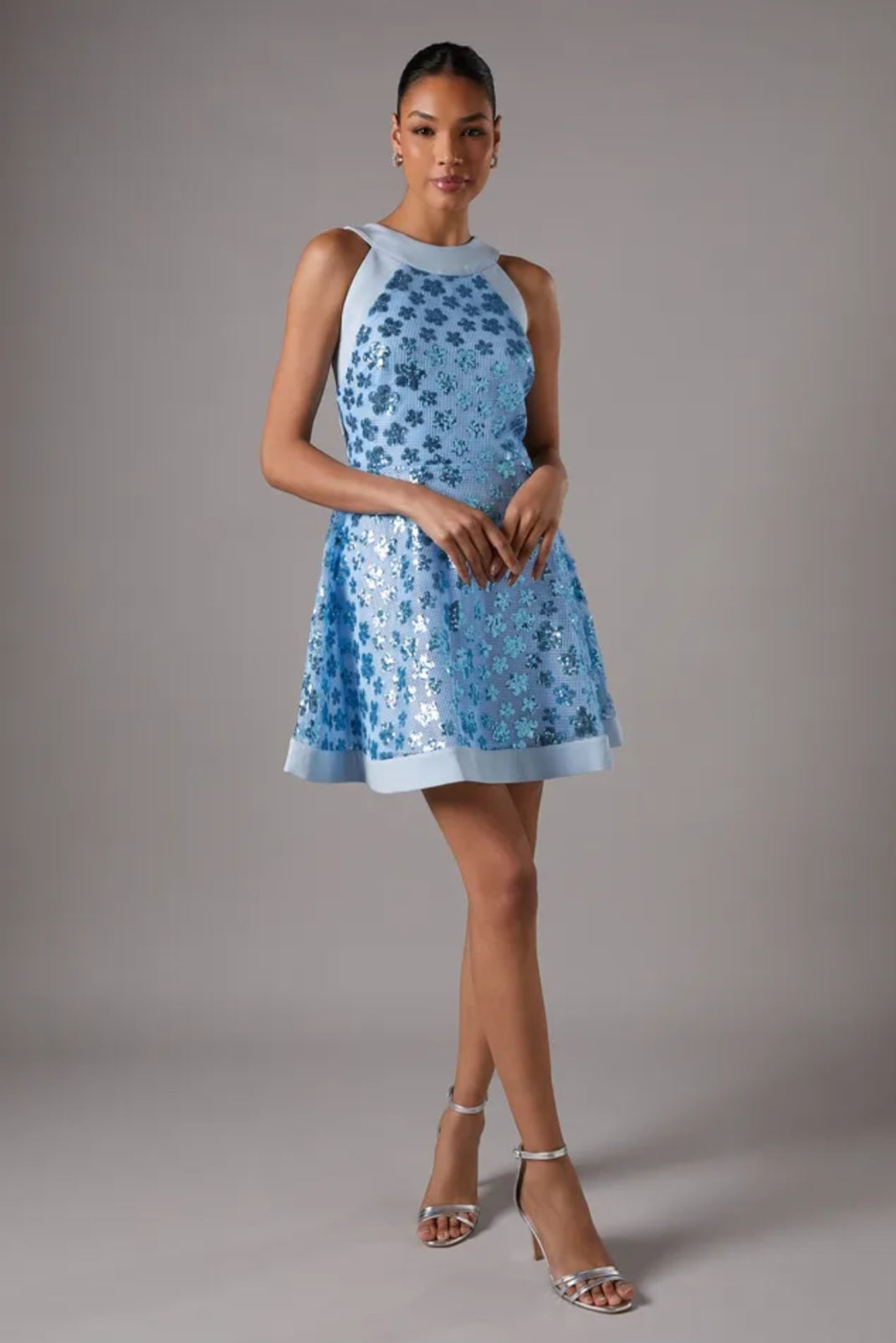 Coast
Sequin Mesh Skater Mini
Dress | Size 12