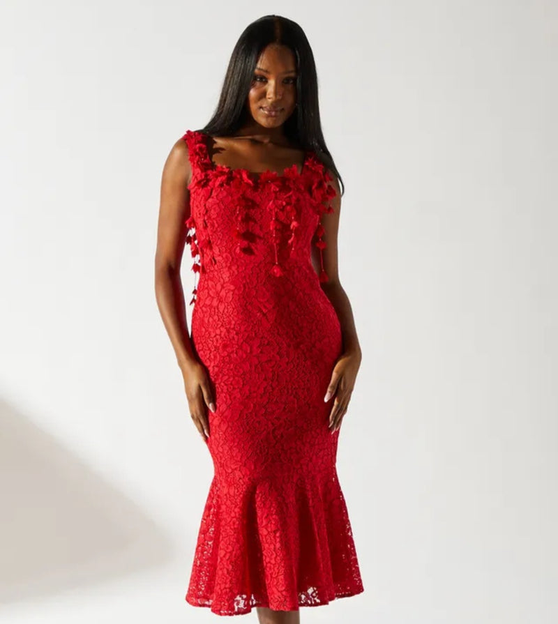 Coast Floral Shoulder Detail Lace Midi Dress | Size 12