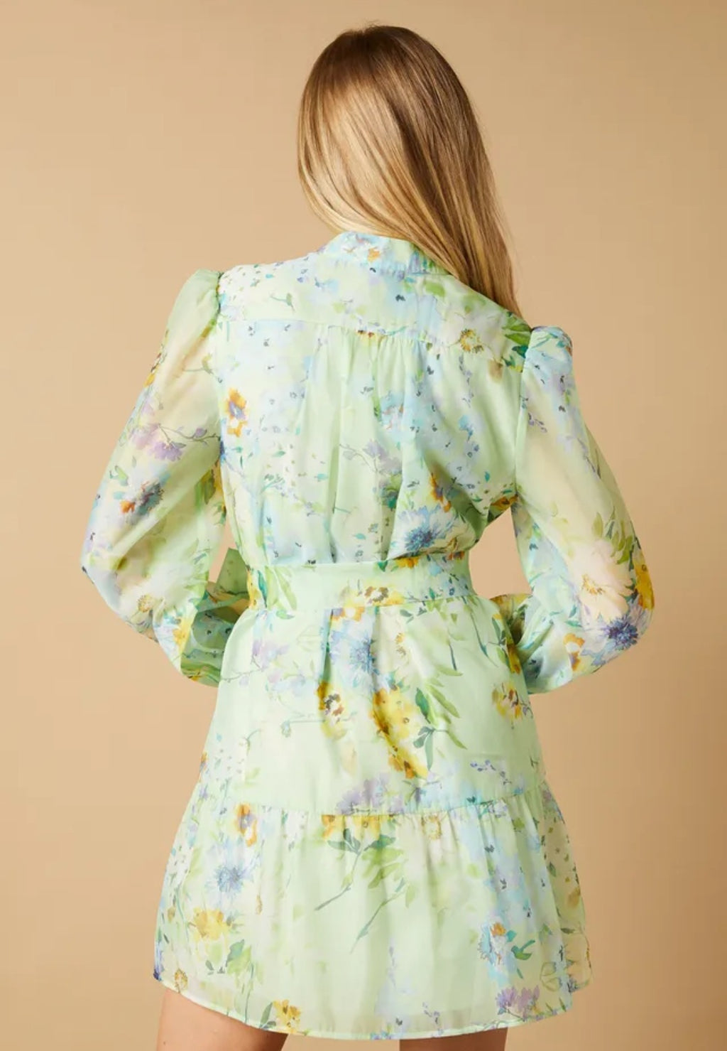 Oasis Sage Floral Organza Mini Shirt Dress