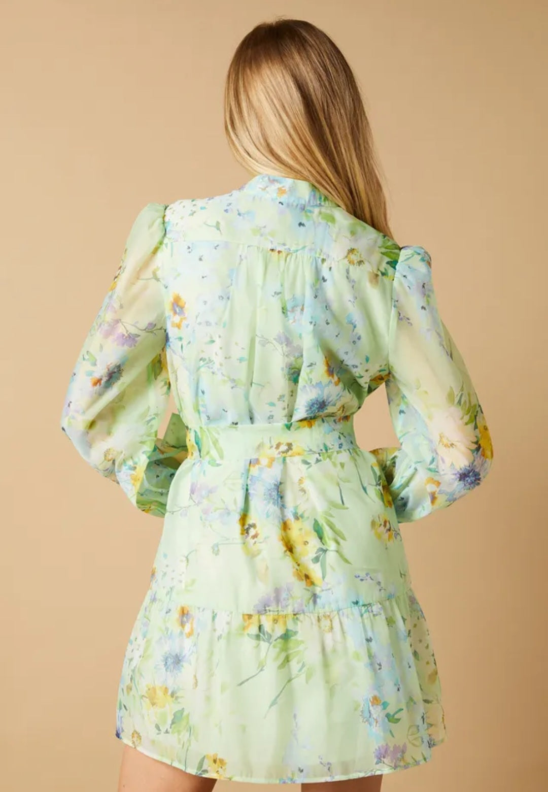 Oasis Sage Floral Organza Mini Shirt Dress